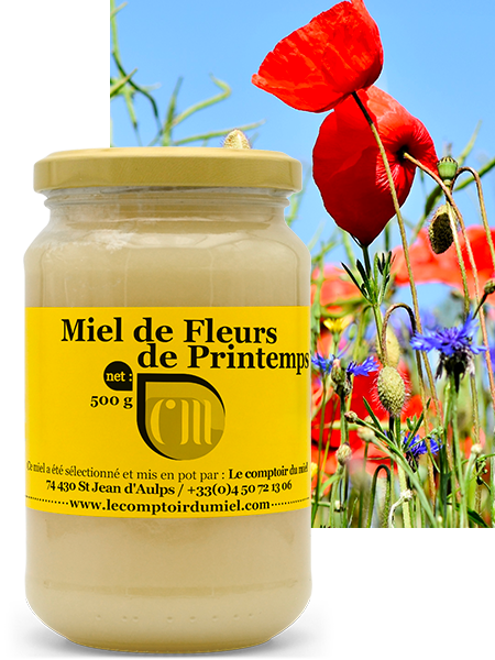 Miel fleur de printemps
